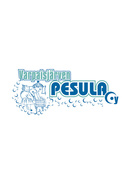 https://www.varpaisjarvenpesula.fi/